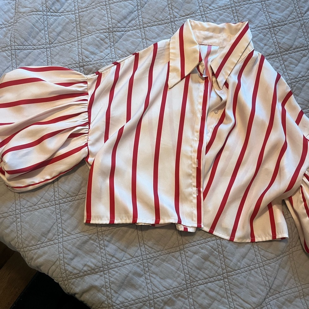 Boutique style top with puffy sleeves. Gently worn.